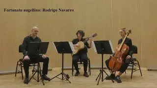 G. Caccini: Le Nuove Musiche. Grabaci&oacute;n en el Auditorio del RCSMVE de Granada.