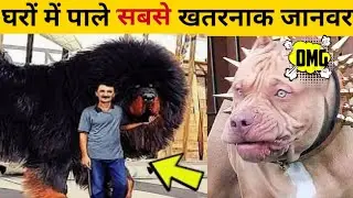 OMG😱 इन जानवरों को गलती से भी घर में मत // #shorts #youtubeshorts #ytshorts