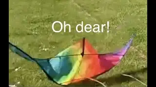 HQ BeeBop Strong Kite