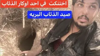 اقوه صياد ذئاب في العراق والوطن العربي مخاطره دخول الى اوكار الذئاب اختنكت في وكر الذئب