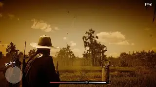 Red Dead Redemption 2 Carolina Parakeet Locations Guide Papuga/Karolińska Lokacje Poradnik