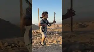 فيصل و الخيل 