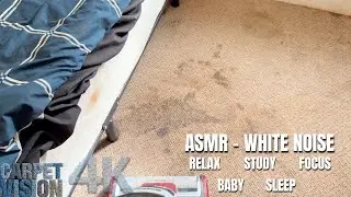 ASMR Carpet Cleaning | Dang&hellip; This Carpet TOO Dirty 😮&zwj;💨 (Sleep Now)