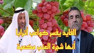 محمد الفايد يفسر كواعب أترابا على أنها شجرة العنب مكعبة #الفايد #shorts