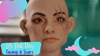 DS Doll Dog faceup & scars