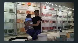 Blue Heron Holistic- Sound Snippet-