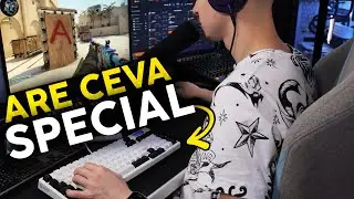 Are ceva SPECIAL - Tastatura *customlike* AQIRYS ADARA
