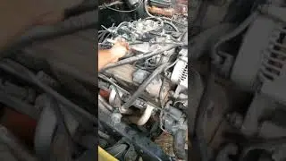 Dodge 79 swap 5.9 Magnum fuel inyection