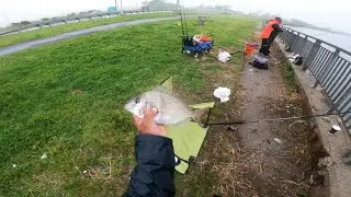Porgy fishing Far Rockaway NYC 6/07/2025