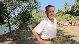 ບ້ານນາແຊງ ເມືອງເຟືອງ