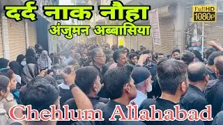 🏴Anjuman Abbasiya Raninandi | Muharram 2025 | Allahabad Muharram Juloos