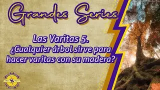 Grandes series: Las varitas 5  &iquest;Cualquier &aacute;rbol sirve para hacer varitas con su madera?