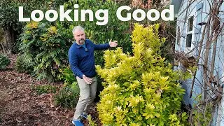 Last Garden Tour of the Year - What's Looking Good
