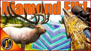 Diamond Rocky Mountain Elk... For the Layton Trophy Cabin!?!