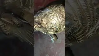 Brass Elephant Statue | Available on IndiaMART