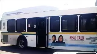 DDOT GILLIG LOW FLOOR 2012 LOW EMISSION HYBRID#1245.NOT IN SERVICE AT NORTHLAND MALL 