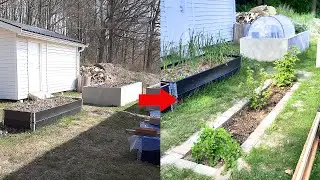 Planterar krusbär, vinbär, sår spagettisquash och vintersquash och gör rabatt av återbrukade stenar