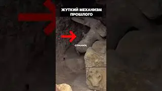 Находка, которую никто из исследователей не ожидал