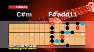 Jam With Danny Gill Beginner Guitar Performance | Sample Licklibrary DVD
