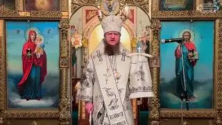 Владыка Феодосий, почему нет мира на украине.10 января, Запорожье