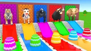 Long Slide Game With Cow Elephant Gorilla Hippopotamus Tiger 3d Animal Game Funny 3d Animals