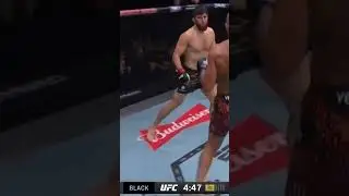 absolute victory from Alex pereira#mma #ufc #tranding #bakuhantam #viralshorts #boxing #mmafighter
