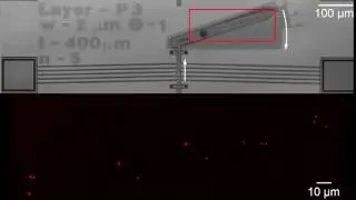 Measuring Nanoscale Motion Transfer Through Microscale Machine Video Download