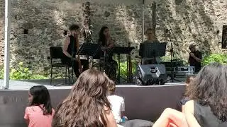 Vivid consort 1