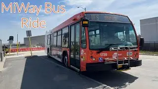 Mississauga MiWay 17 Hurontario Bus Ride - Full Route 4/11/2023