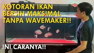 Pengaturan Input dan Output Top Filter Terbaik - Bersih Tanpa Wavemaker!