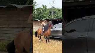 Cabalista de coraz&oacute;n