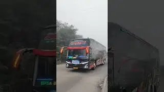 Tronton volvo bus Nusa Bhakti Trans Fighter Magnum #nusabhakti#nusabhaktitrans#shorts#viral#trending