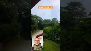Digital Nomad Retreat: Office Day nr 1 at Selina Monteverde
