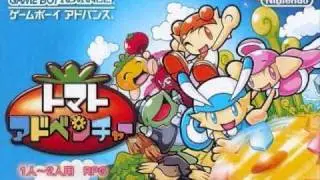 Measuring Gimmick Palace - Tomato Adventure