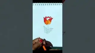 flower drawing #odishaart #easydrawing #arteasy #youtubeshorts