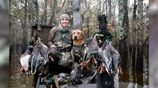Driven By Ducks