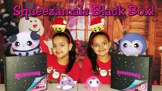 Squeezamals Black Box! Surprise Plush Squishies!