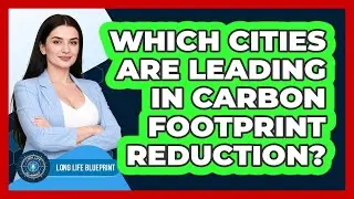 Which Cities Are Leading In Carbon Footprint Reduction? - Long Life Blueprint