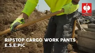 STRAUSS e.s.e.pic Ripstop Cargo Work Pants &mdash; Durable, Lightweight, Organized
