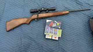 22 WMR AMMO TEST!