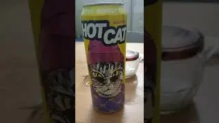 Энергетик#Hot-Cat! 