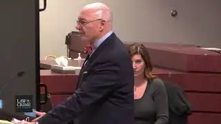 FL v. Curtis Reeves Trial Day 1 - Defense Opening Statement by Dino Michaels