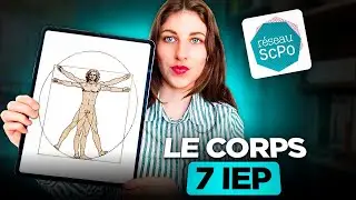 LE CORPS : 3 concepts incontournables 💪