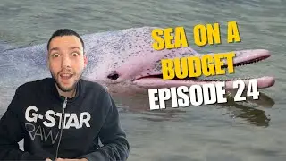 PINK DOLPHIN TOUR?! | SEA ON A BUDGET 24