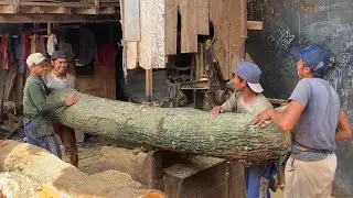 PENEMUAN MENGERIKAN & MENGEJUTKAN!! Skill Operator Ini Dipertaruhkan Saat Menggergaji Kayu Monster