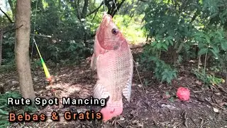 Spot mancing liar di PIK Jakarta‼️Belakang Galatama ikan mas