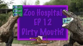 Zoo Hospital EP 12 - Dirty Mouth?