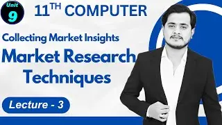 Collecting Market Insights | 11th Computer Science 