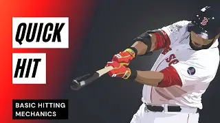Basic Hitting Mechanics [QUICK HIT]