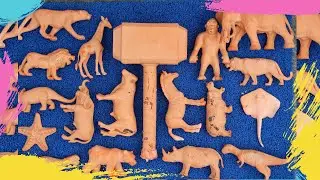 PlayNight Toys | MEMBERSIHKAN MAINAN | Hewan Laut | Hewan Darat | orca toys. | cari megalodon.